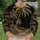 Engraved Palm Trees and Ocean Waves for Tropical Beach Getaways and Summer Travel All-over Print Knitted Sweater - 6