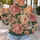 Watercolor Roses for Romantic Everyday Styling and Garden Gatherings for Women All-over Print Knitted Sweater - 5