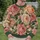 Watercolor Roses for Romantic Everyday Styling and Garden Gatherings for Women All-over Print Knitted Sweater - 6