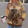 Buffalo Cavalry Heritage Scene for Western History Fans and Outdoor Adventures All-over Print Hoodie (Lightweight) - 2