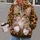 Leopard Cat Companion Cozy Weekend Style for Women and Feline Lovers Everyday All-over Print Hoodie (Lightweight) - 2
