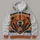 Roaring Bear Head And Distressed Orange Stripes For Game Day Spirit And Tailgate Style All-over Print Hoodie (Lightweight) - 4