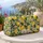 Fresh Lemons and Green Leaves for Sunny Summer Getaways, Vacations, and Picnics Quilted Weekend Bag - 5