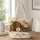 Botanical Antique Books for Reading Nooks, Library Lovers and Cozy Book Club Gifts Quilted Tote Bag - 1