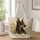 Doberman Pinscher and Peach Roses for Dog Lovers, Garden Walks and Thoughtful Gifting Quilted Tote Bag - 1