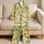 Lemon and Sage Citrus Motifs for Fresh Summer Lounging and Relaxed Home Evenings Satin Pajamas Set - 5