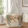 Fluffy Dog With Vintage Books And Wildflowers For Book Lovers Quilted Tote Bag - 1