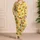Orange Fruit and Golden Gingham for Cozy Evenings and Cheerful Home Relaxation Satin Pajamas Set - 4