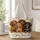 Four Dachshund Puppies for Vintage Dog Lover Style and Thoughtful Gifts for Women Quilted Tote Bag - 1