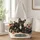 French Bulldog Trio for Cozy Autumn Outings and Thoughtful Gifts for Dog Lovers Quilted Tote Bag - 1