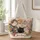 Colorful Cat Family and Garden Blooms for Cat Lovers and Cozy Everyday Style Quilted Tote Bag - 1
