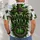 Paid In Full Cross And Crown Of Thorns For Christian Faith And Church Worship All-over Print Unisex T-shirt - 4