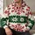 Cream Red Snowflakes And Evergreen Bands For Cozy Winter Holiday Days Outdoors All-over Print Hoodie (Lightweight) - 6