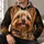 Yorkshire Terrier Dog Portrait for Cozy Lounging and Everyday Pet Lover Style All-over Print Hoodie (Lightweight) - 6