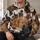 Sleeping Puppy Faces for Cozy Nights, Dog Lover Lounging and Relaxed Weekend Style All-over Print Hoodie (Lightweight) - 6
