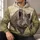 Realistic Wild Boar in Meadow for Outdoor Adventure and Wildlife Enthusiasts and Nature Lovers All-over Print Hoodie (Lightweight) - 6