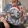 Sweet Baby Elephant in Santa Hat for Whimsical Christmas Cheer and Holiday Gifting All-over Print Hoodie (Lightweight) - 6