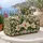Ivory Magnolia And Emerald Leaves For Relaxed Weekend Getaways And Garden Travel Quilted Weekend Bag - 5