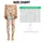 Teddy Bear Aviator Balloons for Playful Everyday Adventures and Travel Leggings - 1