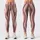 Blush Pink and Taupe Vertical Stripes for Yoga, Pilates and Everyday Active Style Leggings - 3