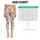 Dusty Rose Tulips and Sage Green Foliage for Yoga, Pilates, and Everyday Activewear Leggings - 1