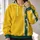 Golden Yellow Green Stripe Starburst Style for Office Commutes and Casual Days All-over Print Hoodie (Lightweight) - 2