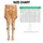 Warm Orange Corgi Puppies for Yoga, Running, Gym Days and Everyday Fitness Wear Style Leggings - 3
