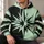 Split Black and Mint Starburst for Modern Streetwear and Casual Everyday Commuting All-over Print Hoodie (Lightweight) - 6