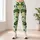 Cute Broccoli Vegetables for Yoga, Pilates, Gym Sessions and Everyday Activewear Leggings - 6