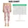 Cute White Cat and Strawberry Motifs for Yoga, Pilates, and Everyday Casual Wear Leggings - 1