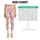 Cute White Cat and Strawberry Motifs for Yoga, Pilates, and Everyday Casual Wear Leggings - 3