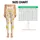 Golden Yellow Stars on Ivory for Yoga, Pilates and Everyday Studio-to-Street Style Leggings - 1