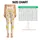 Golden Yellow Stars on Ivory for Yoga, Pilates and Everyday Studio-to-Street Style Leggings - 3
