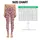 Pink Leopard Spots for Pilates, Gym Days, and Everyday Activewear Style Leggings - 3