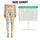 Yellow And Gray Floral Motifs for Yoga, Pilates, and Everyday Wellness for Women Leggings - 1