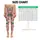 Cute Leopard Cats and Colorful Stars for Playful Yoga and Everyday Fitness Style Leggings - 1