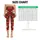 Vintage Santa Faces And Evergreen Sprigs For Cozy Christmas Holiday Celebrations Leggings - 3