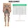 Cute Cats And Wildflowers For Cozy Everyday Adventures And Playful Weekend Outings Leggings - 1