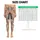 Cute Cats And Wildflowers For Cozy Everyday Adventures And Playful Weekend Outings Leggings - 3