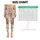 Highland Cow and Wildflower Bohemian Motifs for Cozy Weekends and Festival Style Leggings - 3