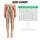 Colorful Boho Stripe Casual Style for Weekend Outings and Everyday Wear Leggings - 1