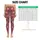 Red Green Plaid Snowflakes For Cozy Christmas Celebrations And Winter Cheer Leggings - 1