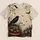 Raven Pumpkin Graveyard Halloween Scene For Autumn Seasonal Wear All-over Print Unisex T-shirt - 1