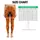 Playful Bats, Pumpkins And Candles For Spooky Season And Halloween Festivities Leggings - 1