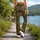 Olive And Rust Botanical Blooms For Casual Weekends And Everyday Women's Wardrobe Style Leggings - 12