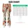 Whimsical Ladybugs And Garden Beetles For Sunny Days And Nature Loving Women Everywhere Leggings - 7