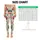 Whimsical Ladybug and Beetle Motifs for Sunny Garden Days and Casual Summer Outings Leggings - 1