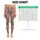Pink Paisley Floral Motifs for Yoga, Travel, and Everyday Bohemian Lifestyle Wear Leggings - 1