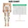 Cute Teddy Bear And Star Motifs For Yoga Pilates And Everyday Comfort Leggings - 1