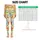 Colorful Jungle Animals for Yoga, Pilates and Everyday Adventures for Active Women Leggings - 3